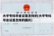 大学专科毕业证是怎样的(大学专科毕业证是怎样的图片)