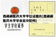 西藏藏医药大学学位证图片(西藏藏医药大学毕业后分配吗)