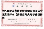 民办合肥滨湖职业技术学院自考毕业证高清样本（安徽自考大专毕业证样图）