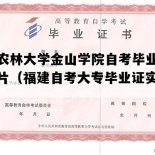 福建农林大学金山学院自考毕业证模板图片（福建自考大专毕业证实拍样本）