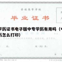 中专学历证书电子版中专学历有用吗（中专电子学历怎么打印）