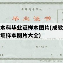 成教本科毕业证样本图片(成教本科毕业证样本图片大全)