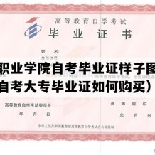 潍坊职业学院自考毕业证样子图片（山东自考大专毕业证如何购买）