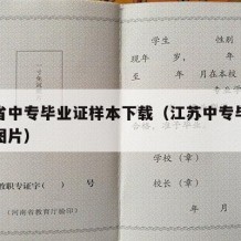 江苏省中专毕业证样本下载（江苏中专毕业证编号图片）