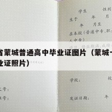 安徽省蒙城普通高中毕业证图片（蒙城一中高中毕业证照片）