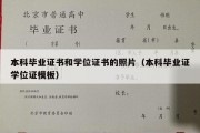 本科毕业证书和学位证书的照片（本科毕业证学位证模板）