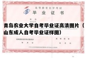 青岛农业大学自考毕业证高清图片（山东成人自考毕业证样图）