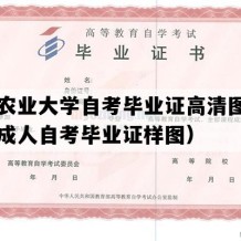 青岛农业大学自考毕业证高清图片（山东成人自考毕业证样图）