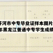 绥芬河市中专毕业证样本图片(1994年黑龙江普通中专学生成绩单）