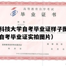 青岛科技大学自考毕业证样子图片（山东自考毕业证实拍图片）