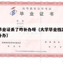 大学毕业证丢了咋补办呀（大学毕业档案丢了怎么补办）