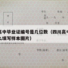 四川高中毕业证编号是几位数（四川高中毕业证怎么填写样本图片）