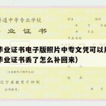 中专毕业证书电子版照片中专文凭可以用吗（中专毕业证书丢了怎么补回来）