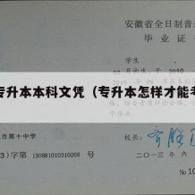 怎样专升本本科文凭（专升本怎样才能考上本科）