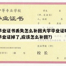 大学毕业证书丢失怎么补回大学毕业证呢（我大学毕业证掉了,应该怎么补回?）