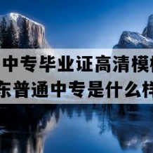 淄博市中专毕业证高清模板(2002年山东普通中专是什么样子的）