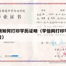 学信网如何打印学历证明（学信网打印学历证明图片）