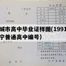 兴城市高中毕业证样图(1991年辽宁普通高中编号）