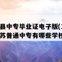 灌云县中专毕业证电子版(1997年江苏普通中专有哪些学校)