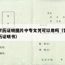 中专学历证明图片中专文凭可以用吗（普通中专学历证明书）