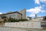 大连东软信息学院毕业证(大学毕业证样本_图片_模板)_历任校长