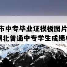 广水市中专毕业证模板图片(2008年湖北普通中专学生成绩单）