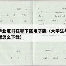 大学毕业证书在哪下载电子版（大学生毕业证电子版怎么下载）