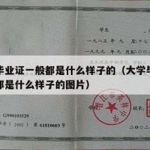 大学毕业证一般都是什么样子的（大学毕业证一般都是什么样子的图片）