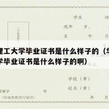 华南理工大学毕业证书是什么样子的（华南理工大学毕业证书是什么样子的啊）