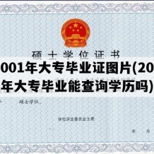 2001年大专毕业证图片(2001年大专毕业能查询学历吗)