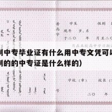 全日制中专毕业证有什么用中专文凭可以考（全日制的的中专证是什么样的）