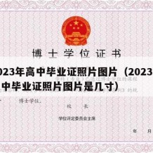 2023年高中毕业证照片图片（2023年高中毕业证照片图片是几寸）