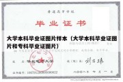 大学本科毕业证图片样本（大学本科毕业证图片和专科毕业证图片）