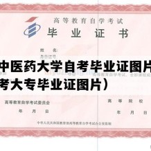 云南中医药大学自考毕业证图片（云南自考大专毕业证图片）