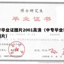 中专毕业证图片2001高清（中专毕业证照片图片）