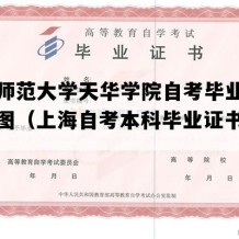 上海师范大学天华学院自考毕业证电子版图（上海自考本科毕业证书编号）