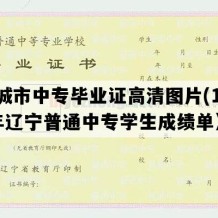 兴城市中专毕业证高清图片(1991年辽宁普通中专学生成绩单）