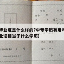 中专毕业证是什么样的?中专学历有用吗（中专毕业证相当于什么学历）