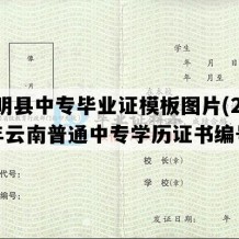 嵩明县中专毕业证模板图片(2005年云南普通中专学历证书编号）