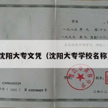 沈阳大专文凭（沈阳大专学校名称）