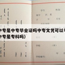 职业中专是中专毕业证吗中专文凭可以考吗（职业中专是专科吗）