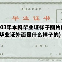 2003年本科毕业证样子图片(本科毕业证外面是什么样子的)