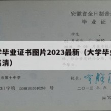 大学毕业证书图片2023最新（大学毕业证书高清）