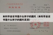 本科毕业证书是什么样子的图片（本科毕业证书是什么样子的图片高清）