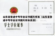 山东省普通中专毕业证书图片样本（山东省普通中专毕业证书图片样本高清）