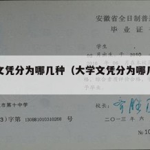 大学文凭分为哪几种（大学文凭分为哪几种类别）