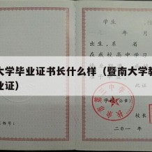 暨南大学毕业证书长什么样（暨南大学教育学院毕业证）