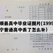 抚顺县高中毕业证图片(1999年辽宁普通高中丢了怎么补）