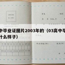 高中毕业证图片2003年的（03高中毕业证什么样子）