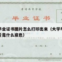 大学毕业证书图片怎么打印出来（大学毕业证书照片是什么底色）